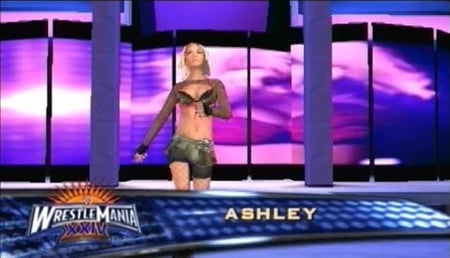 media/pim/wwe-smackdown-vs-raw-2009-psp-4005209109024_10.jpg