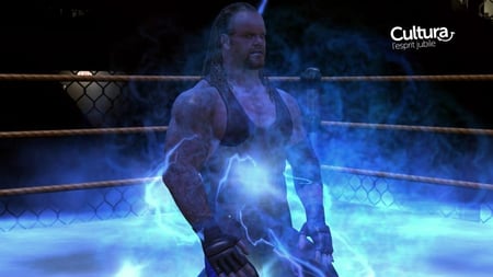 media/pim/wwe-smackdown-vs-raw-2009-x360-4005209108676_4.jpg