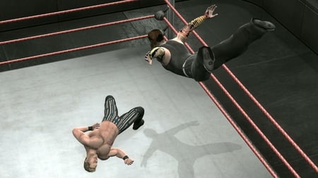 media/pim/wwe-smackdown-vs-raw-2009-x360-4005209108676_9.jpg
