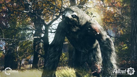 media/pim/xbox-one-x-1-to-fallout-76-0889842353518_10.jpg