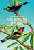 Éloge des oiseaux de passage : Journal d’un ornithologue un peu perché