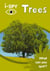 i-SPY Trees - What can you spot?