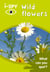 i-SPY Wild Flowers - What can you spot?