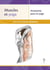 Muscles et yoga - Anatomie pour le yoga