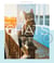 Chats, ruelles et paysages - CHATS, RUELLES ET PAYSAGES [PDF]