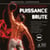 Puissance Brute