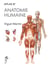 Atlas d'anatomie humaine