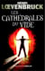 Les enquêtes d'Ari Mackenzie (Tome 2) - Les Cathédrales du vide