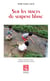 Sur les traces du serpent blanc