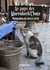 Au pays des Marrakech’Chats