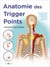 Anatomie des Trigger Points - Méthode complète pour le traitement des points douloureux