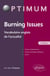 Burning Issues - Vocabulaire anglais de l'actualité - 2e édition