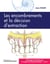 Orthopédie et Orthodontie à l'usage du Chirurgien dentiste T2 - Les encombrements la décision d'extraction