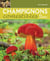 Champignons comestibles du Québec - Les connaître, les déguster