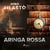 Aringa rossa