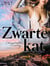 Zwarte kat – Erotisch verhaal