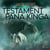 Testament pana Kinga