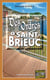 Des ordres à Saint-Brieuc - Les enquêtes de Freddy - Tome 2