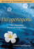 Ho'oponopono - The Hawaiian Ritual of Forgiveness