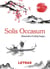 Solis Occasum