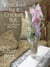 Whacked by a Cricket Bat: A Cozy Murder Mystery