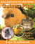 Guinea Pigs Photos and Fun Facts for Kids - Kids Learn With Pictures, #49