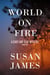 World on Fire - Cady and Blue Mystery, #2