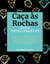 Caça às Rochas para Principiantes: O seu Guia Passo-a-Passo de Principiante a Perito em Rochas com Simplicity | Descubra, Identifique e Polir Pedras Preciosas, Minerais e Fósseis Como um Profissional!