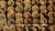 The Communion of Saints, from Belief to Experience