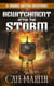 Bewitchment after the Storm - The Viking Witch Cozy Mysteries, #12