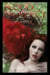 Queen's Destiny - Blood Prophecy, #1