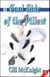 Cool Side of the Pillow