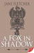 A Fox in Shadow