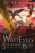 Wild Eyed Southern Boys - Wartime Druid Saga, #1