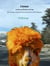 Llamas As Far As The Eye Can See  - 500+ Prompts on Topics for Writers In Search of a Fresh Perspective