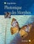 Photonique des Morphos
