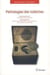 Pathologies des toilettes