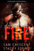 Playing with Fire - Dirty Filthy Men, #1