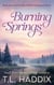 Burning Springs: A Small Town Women's Fiction Romance - Firefly Hollow Generations, #4