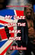 My Daze With The Dark Muse - Better To Burn Out