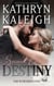 Second Chance Destiny - Magnetic North Romance Series, #21