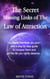 The Secret Missing Links of The Law of Attraction: (Law of Attraction Book 1)