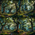 The Enchanted Grove - Enchanted Grove, #1