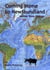 Coming Home to Newfoundland:  Animal Deep Ecology