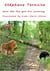 How the fox got his cunning - The Lion, the Ostrich and the Fox