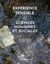 Expérience sensible & sciences humaines et sociales