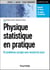 Physique statistique en pratique - 52 problèmes corrigés avec résumé du cours