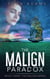 The Malign Paradox - The Malign Universe Series, #3