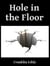 Hole in the Floor