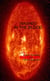 Tales of the Zorantian Brotherhood Volume Three: Washed in the Blood - Tales of the Zorantian Brotherhood, #3